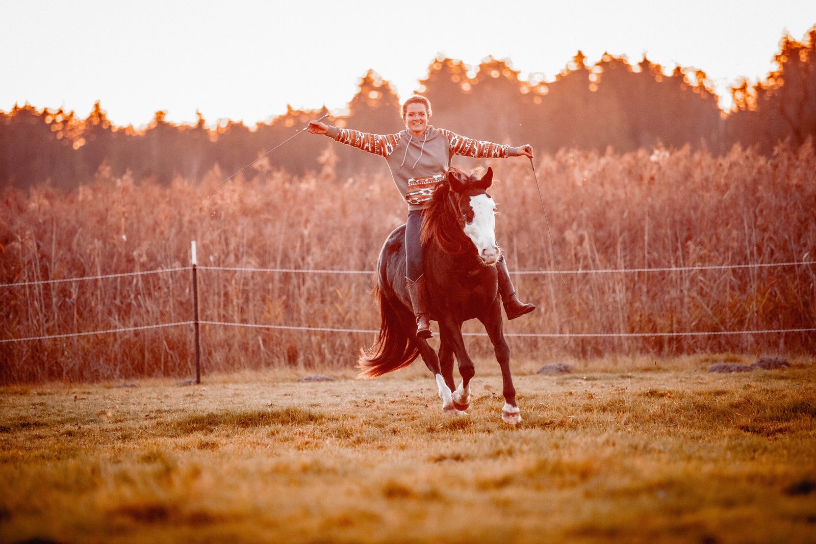 Caro reitet ihr Pferd Freddie frei im Abendlicht und breitet die Arme aus